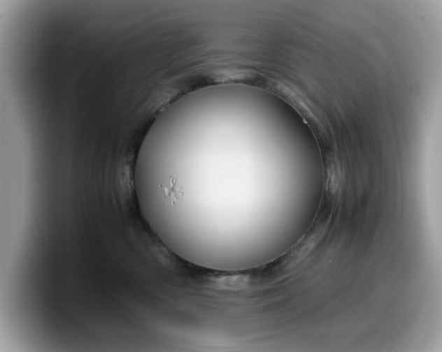 X0000099570426200805301544