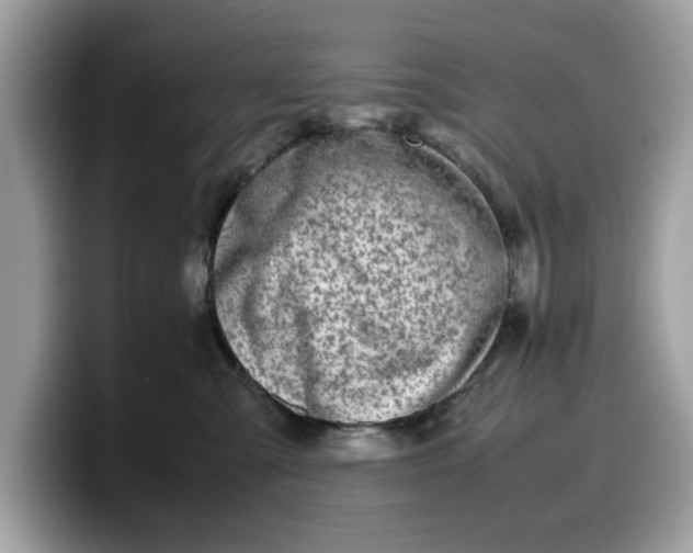 X0000099570427200805301544