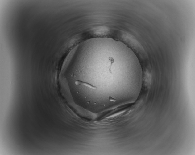 X0000099570428200805301544