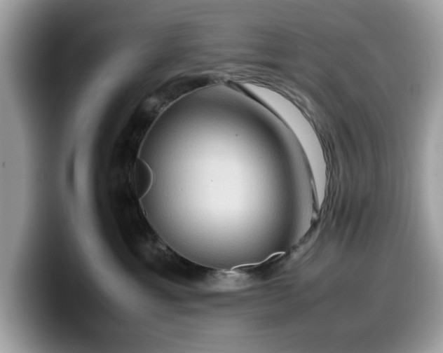 X0000099570429200805301544