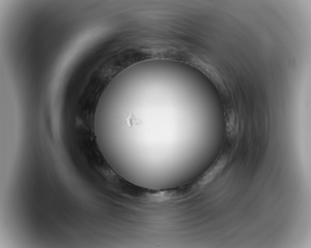 X0000099570430200805301544