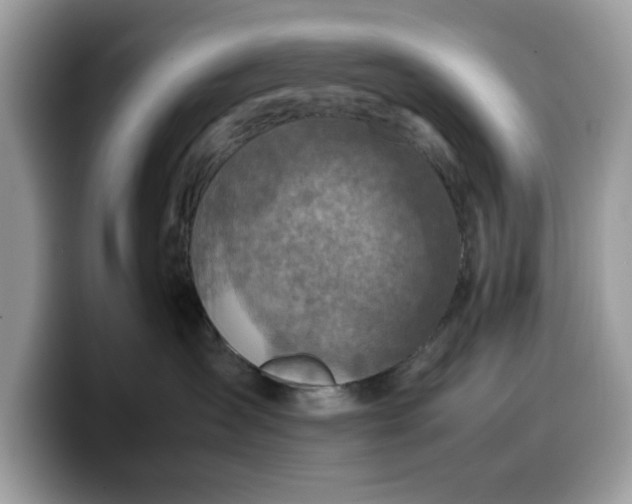 X0000099570431200805301544