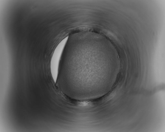 X0000099570432200805301544