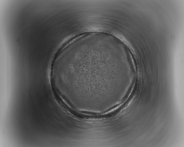 X0000099570434200805301543