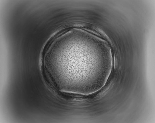 X0000099570435200805301543