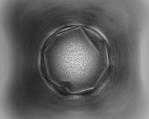 X0000099570437200805301543
