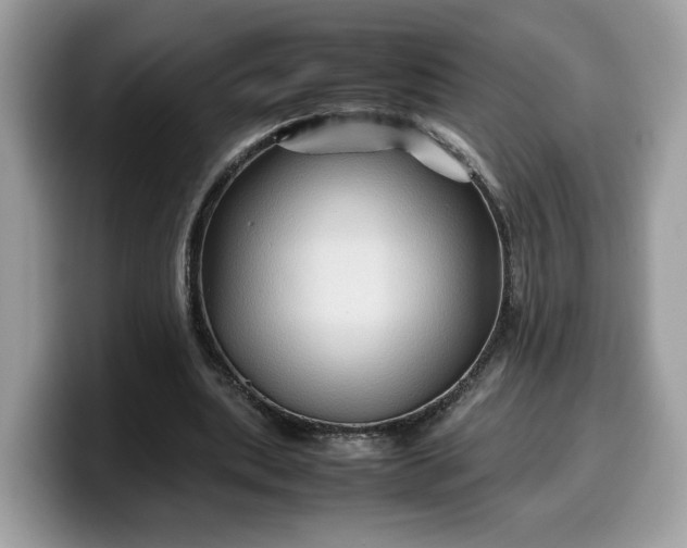 X0000099570439200805301543