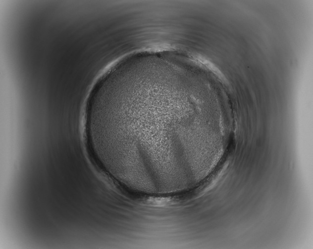 X0000099570440200805301543
