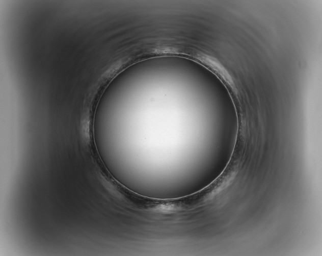 X0000099570441200805301543