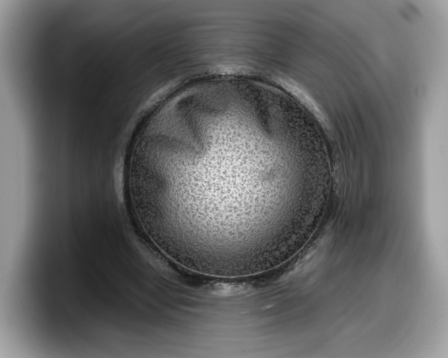 X0000099570442200805301543