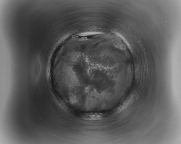 X0000099570443200805301543