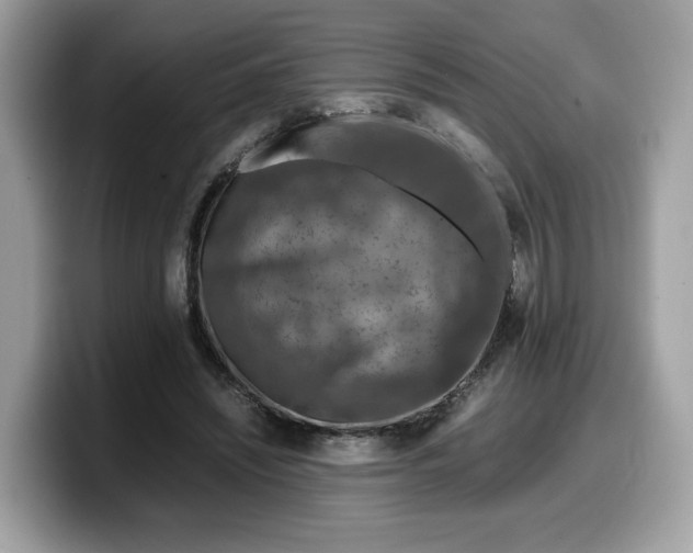 X0000099570444200805301543