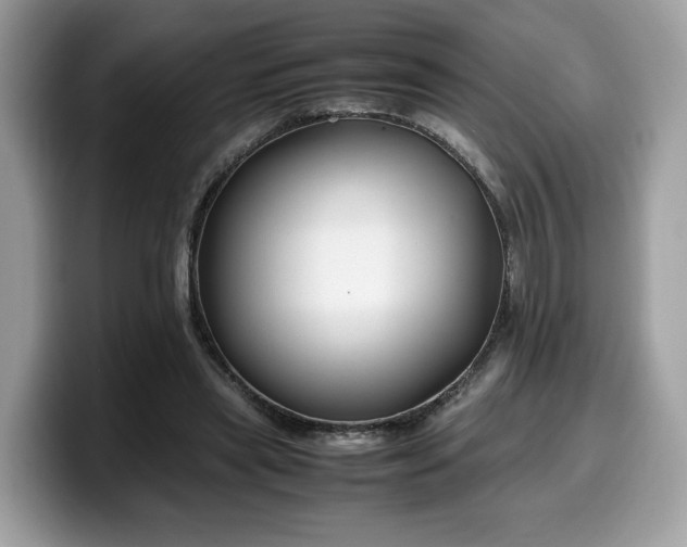 X0000099570445200805301543