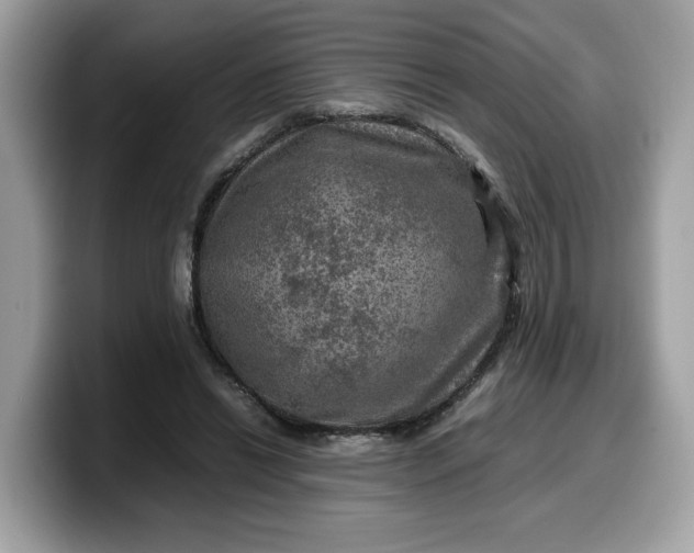 X0000099570446200805301543