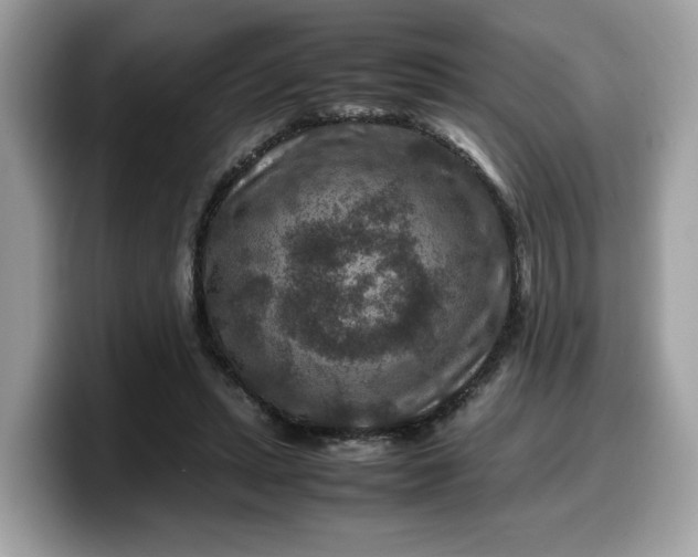 X0000099570447200805301543