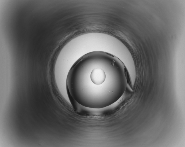 X0000099570448200805301543