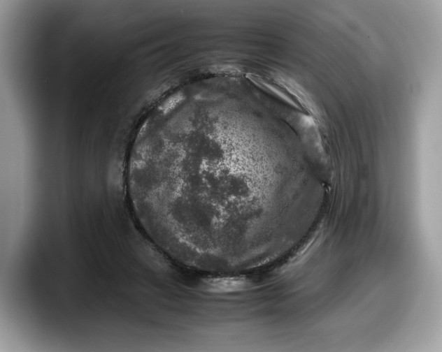 X0000099570449200805301543