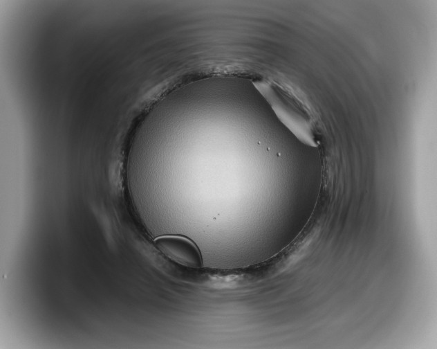 X0000099570450200805301543