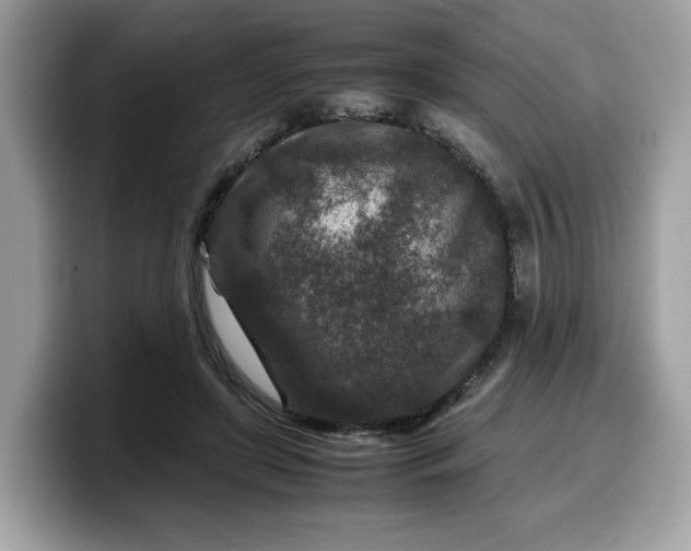 X0000099570451200805301543