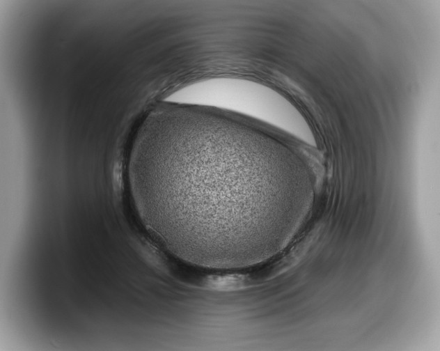X0000099570452200805301544