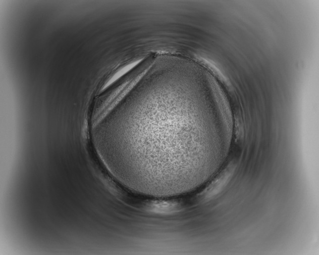 X0000099570453200805301544