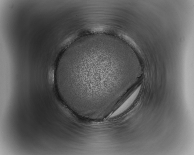 X0000099570454200805301544