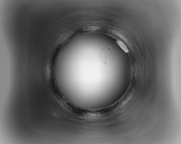 X0000099570455200805301544