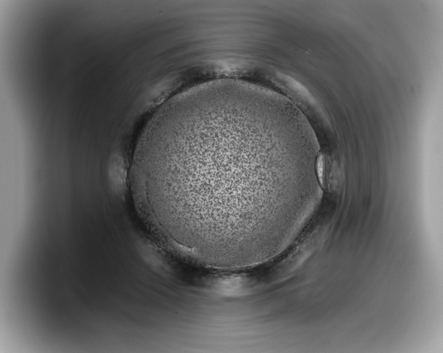 X0000099570456200805301544