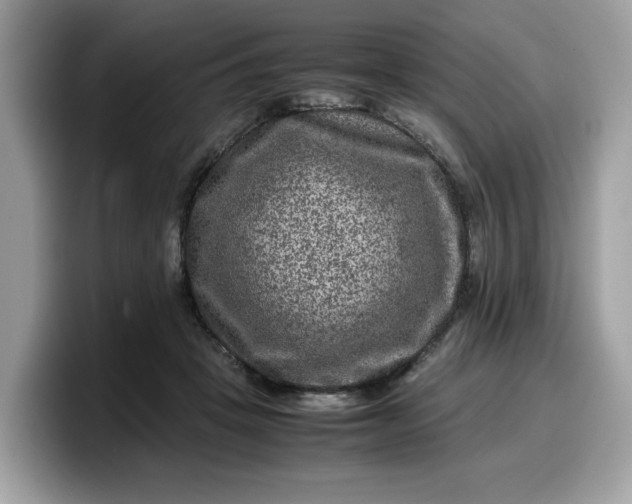 X0000099570457200805301544
