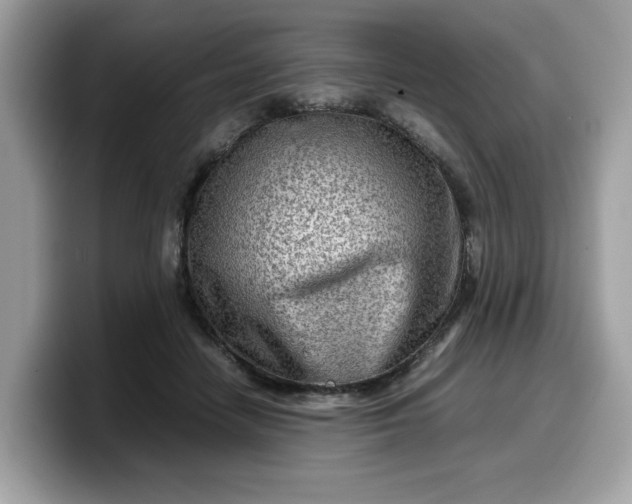 X0000099570458200805301544