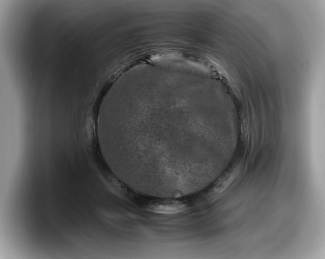 X0000099570459200805301544