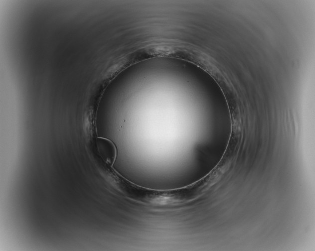 X0000099570460200805301544