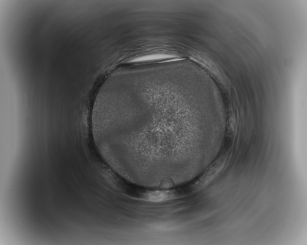 X0000099570461200805301544