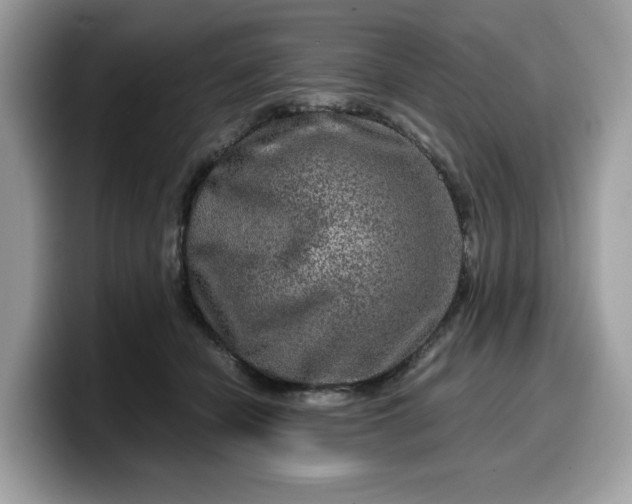 X0000099570462200805301544