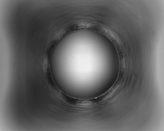 X0000099570463200805301544