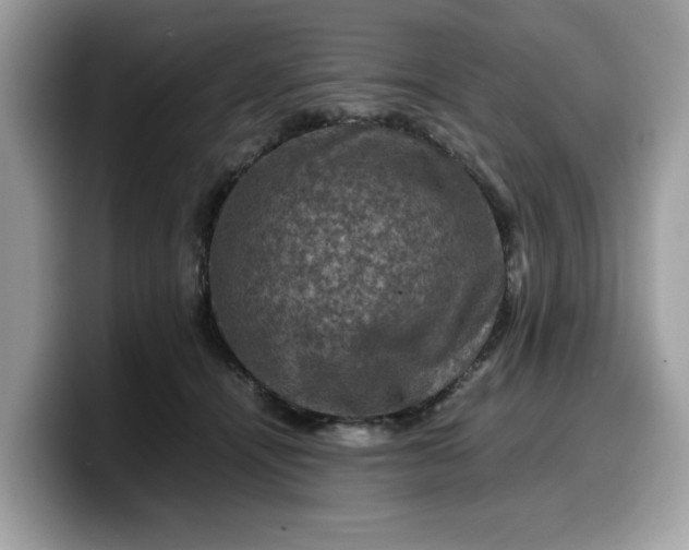 X0000099570464200805301544