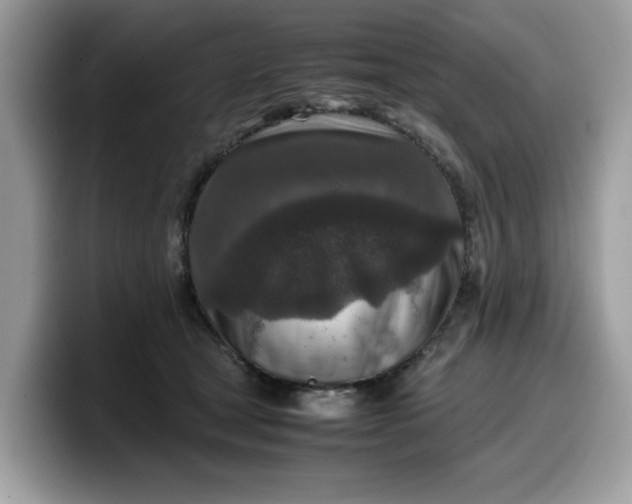 X0000099570465200805301544