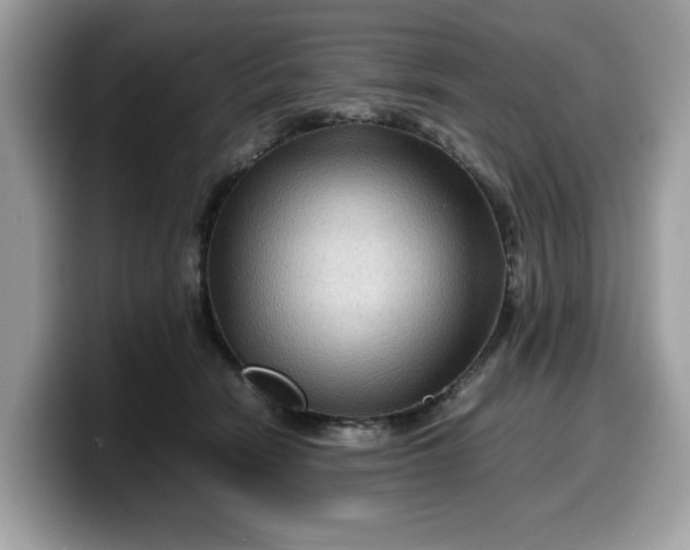 X0000099570466200805301544