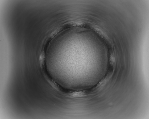 X0000099570468200805301544