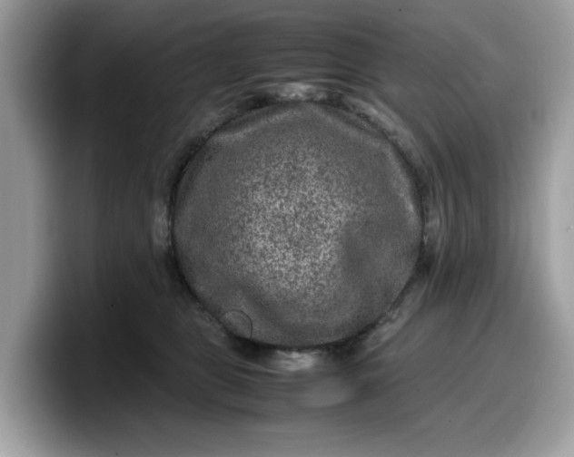 X0000099570469200805301544