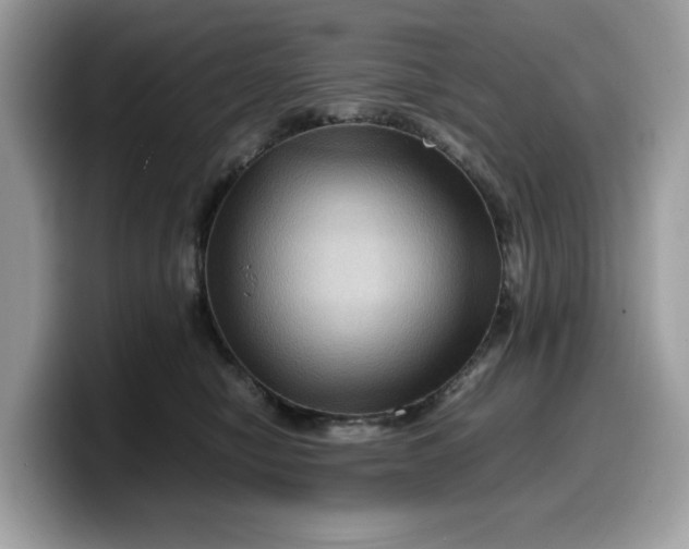 X0000099570470200805301544