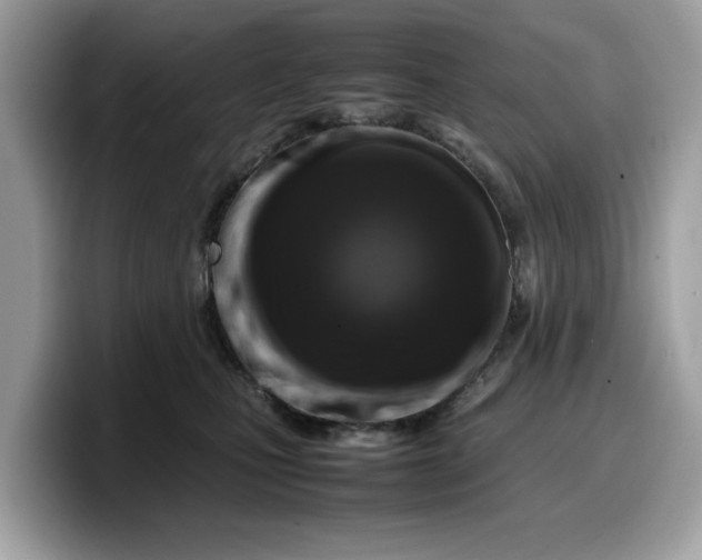 X0000099570471200805301544