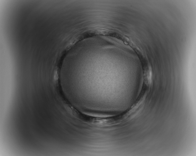 X0000099570472200805301544