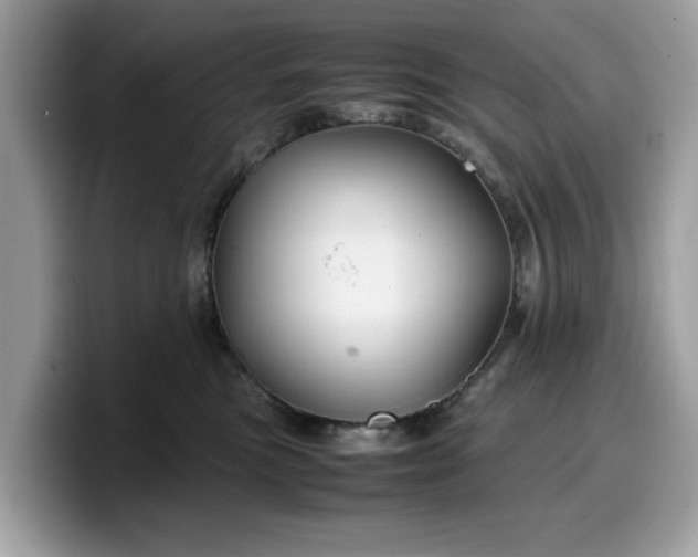 X0000099570473200805301544
