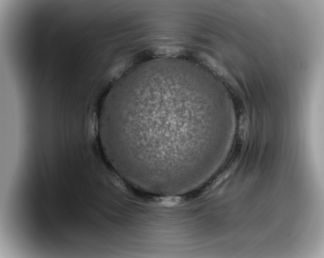 X0000099570474200805301544