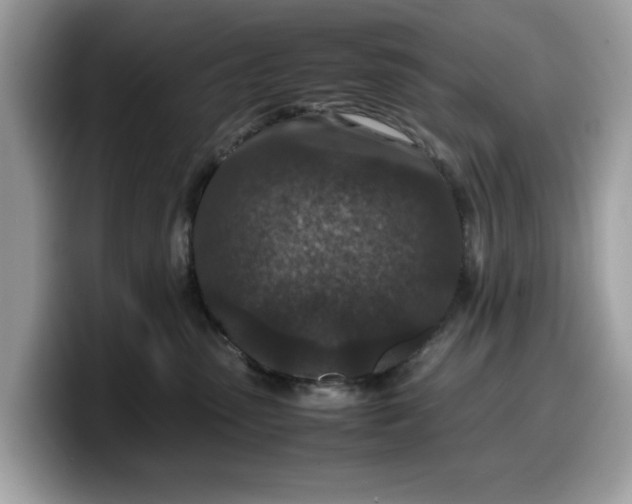 X0000099570475200805301544