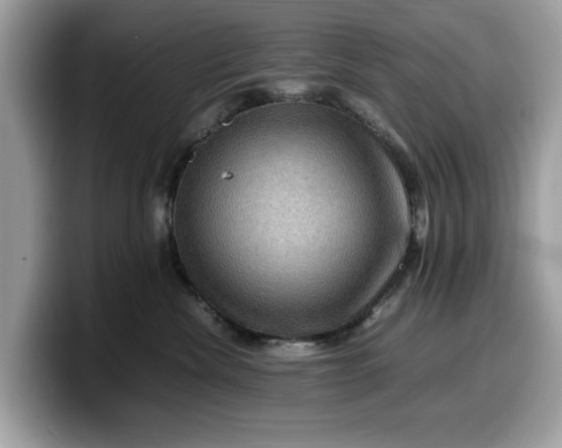X0000099570476200805301544