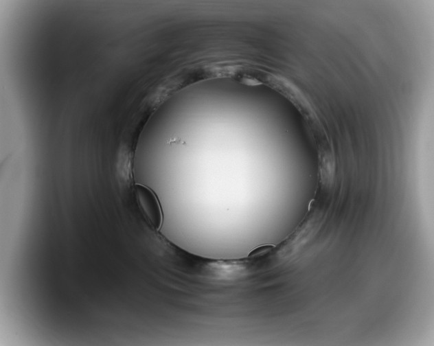 X0000099570477200805301544