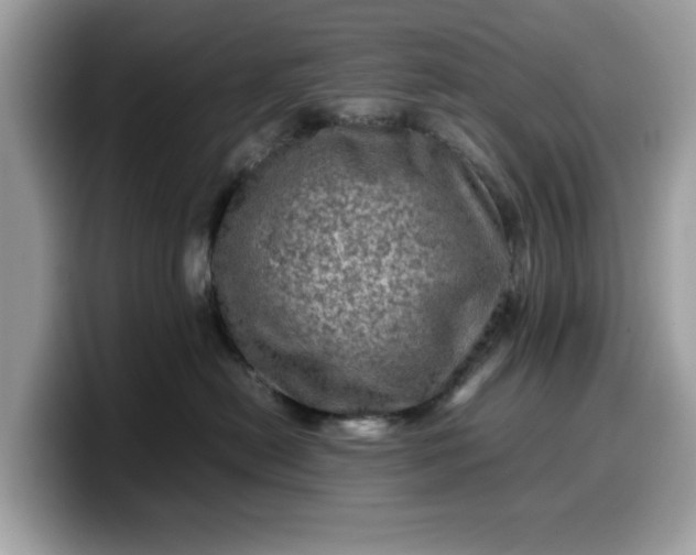 X0000099570478200805301544