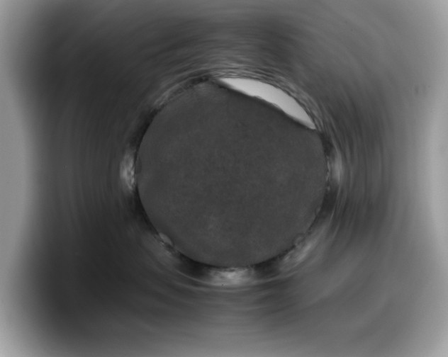 X0000099570479200805301544